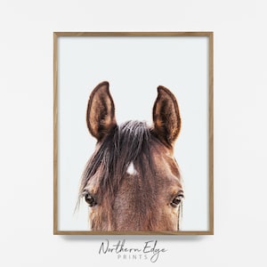 peekaboo horse, brown horse print, horse photo, equestrian print, equestrian photo, equestrian decor, western decor, southwest decor, horse
