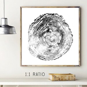 May include: Black and white print of a tree cross-section, framed in a light wood. The artwork features concentric rings, showcasing the tree's growth. The text "1:1 RATIO" is printed at the bottom of the image. The print is displayed on a white surface.
