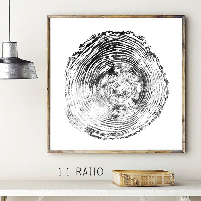 May include: Black and white print of a tree cross-section, framed in a light wood. The artwork features concentric rings, showcasing the tree's growth. The text "1:1 RATIO" is printed at the bottom of the image. The print is displayed on a white surface.