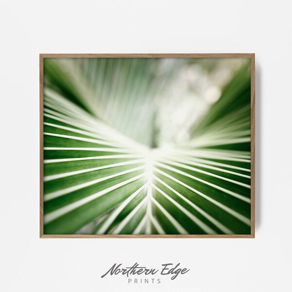 monstera leaf print, monstera wall print, monstera photo print, monstera botanical print, photography print, leaf decor, tropical wall print