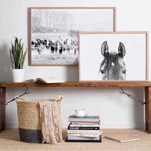Pode incluir: Duas fotografias emolduradas em preto e branco numa prateleira de madeira. A fotografia da esquerda mostra um rebanho de gado a caminhar por um campo. A fotografia da direita mostra um close-up do rosto de um cavalo. Tamb&eacute;m h&aacute; uma cesta de vime, uma pilha de livros e uma planta na prateleira.