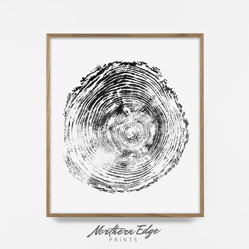 May include: A framed print featuring a black and white tree cross-section. The print showcases the intricate details of the wood's growth rings. The frame is a light brown color. The text "Northern Edge Prints" is at the bottom.