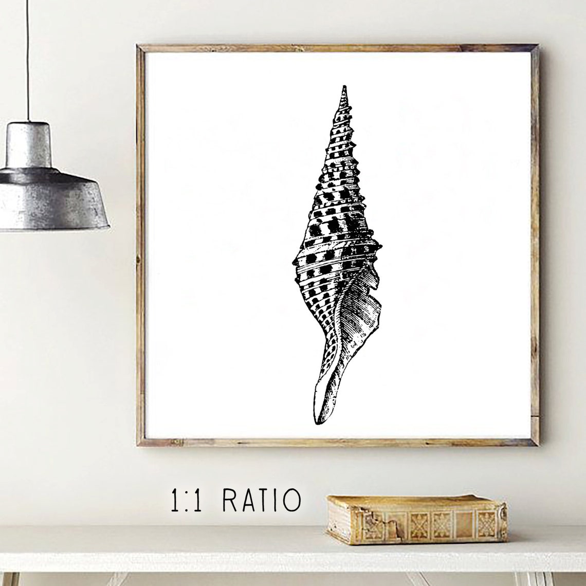 Sea Shell Printable Print Ocean Decor Beach Summer | Etsy