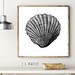 Sea Shell Printable Print Tropical Beach Summer Posters - Etsy