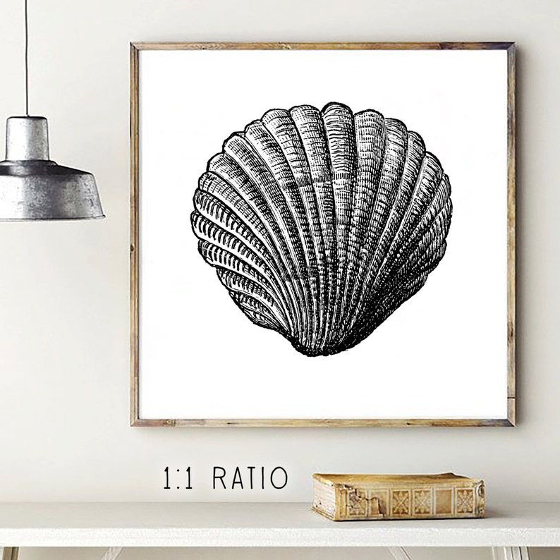 Sea Shell Tropical Beach Art Artistic Poster Printable Print Posters Summer Wall Art Printable Poster Digital