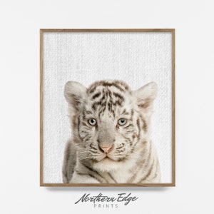 Bw Bebe Tigre Blanco Impresion De Tigre Imprimible Arte Etsy Bw Bebe Tigre Blanco Impresion De Tigre Imprimible Arte Etsy