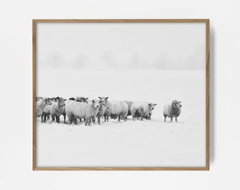 Sheep Print, Printable Art, Sheep Wall Decor, Sheep Art, Country Print, Country Art, Farmhouse Wall Art, BW Country Print, Country Decor