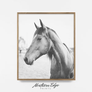 horse print, black and white horse photo, printable horse print, nordic horse art, equestrian print, printable art, horse decor, wild horse image 1