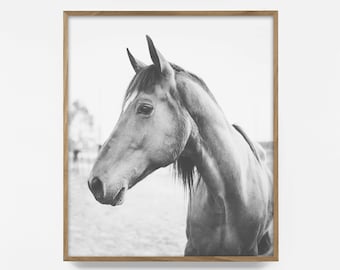 horse print, black and white horse photo, printable horse print, nordic horse art, equestrian print, printable art, horse decor, wild horse