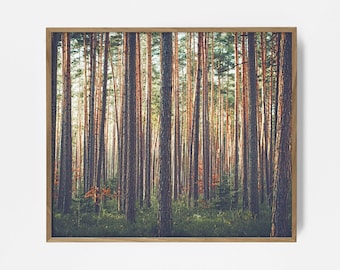 Rich Forest Print, Tree Wall Print, Printable Nature Photo, Printable Tree Print, Rustic Wall Decor, Nature Decor, Beautiful Tree Print