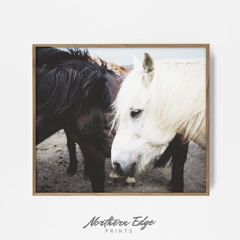 Caballo Salvaje Arte Del Caballo Imprimible Arte Boho Arte Etsy