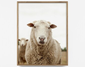 sheep print, nordic print, european print, nordic art, animal print, country landscape art, farm print, farm decor, english countryside art