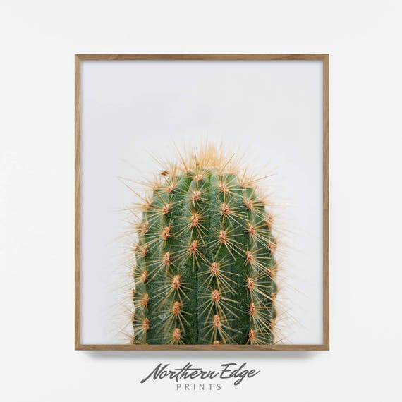 cactus print, southwest wall art, cactus wall art, cactus photography, dessert wall decor, printable wall art, boho print, dessert wall art