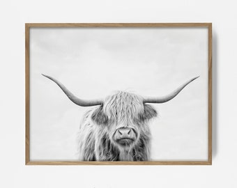 bw highland cow print, longhorn print, highland cattle art, longhorn print, cow print, steer print, farmhouse wall art, country decor 20224