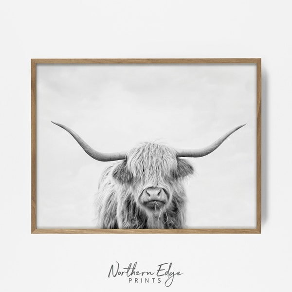 bw highland cow print, longhorn print, highland cattle art, longhorn print, cow print, steer print, farmhouse wall art, country decor 20224