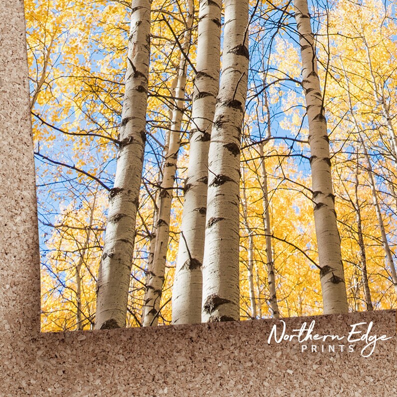 Birch Tree Print Yellow Decor Birch Wall Art Birch Etsy