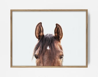 peekaboo horse, brown horse print, horse photo, equestrian print, equestrian photo, equestrian decor, western decor, southwest decor, lovely
