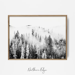 May include: Black and white photograph of a misty forest with tall pine trees. The image is framed in a light wood frame.