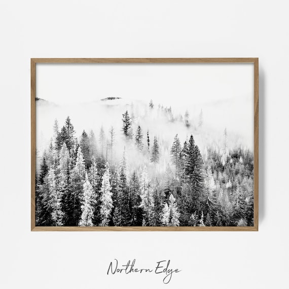 forest fog print, pine tree fog wall art, minimalist wall print, woodland fog print, woodland tree print, rustic cabin decor, tree top print