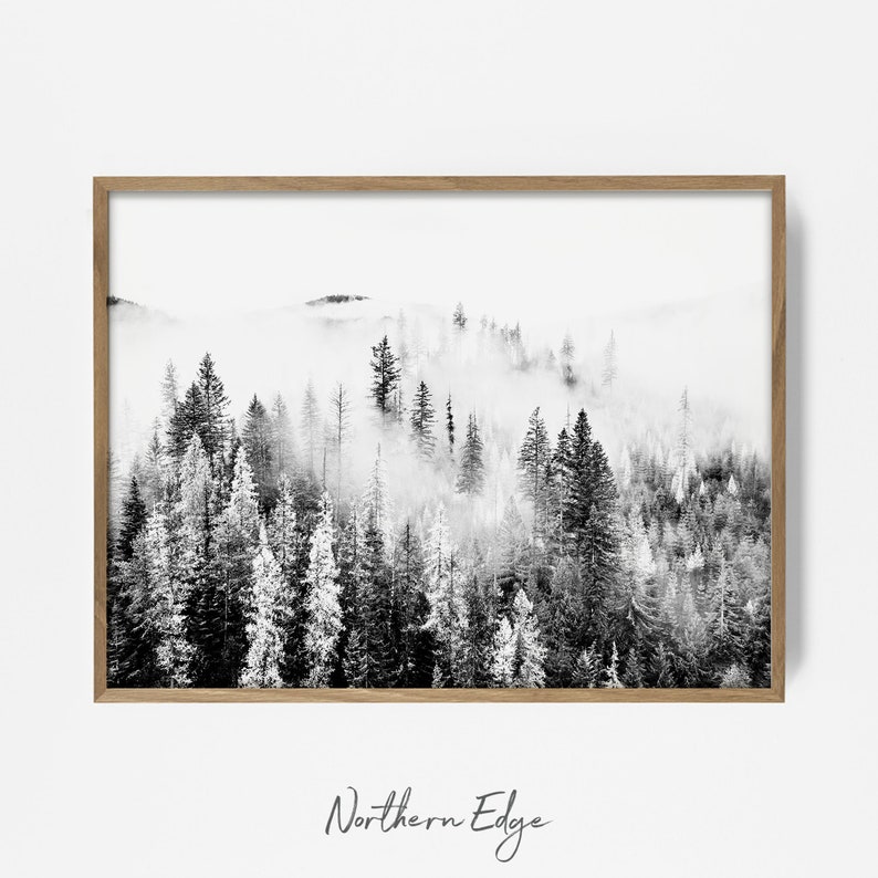 May include: Black and white photograph of a misty forest with tall pine trees. The image is framed in a light wood frame.