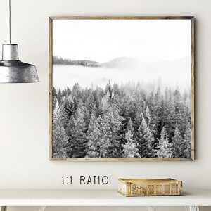 Forest Print, Fog Forest Art, Printable Fog Wood, Black and White ...