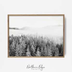 Forest Print, Fog Forest Art, Printable Fog Wood, Black and White ...