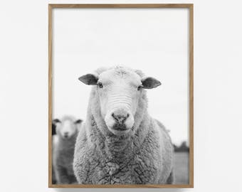 sheep wall print, southwest sheep print, sheep art, printable farmhouse decor, country print, country artwork, farmhouse wall decor print
