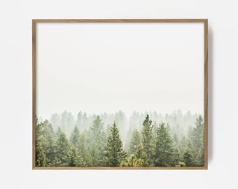 arial forest print, tree top print, wall art, woodland print, forest print, arial fog tree photo, arial pine art, drone wall print tree snow