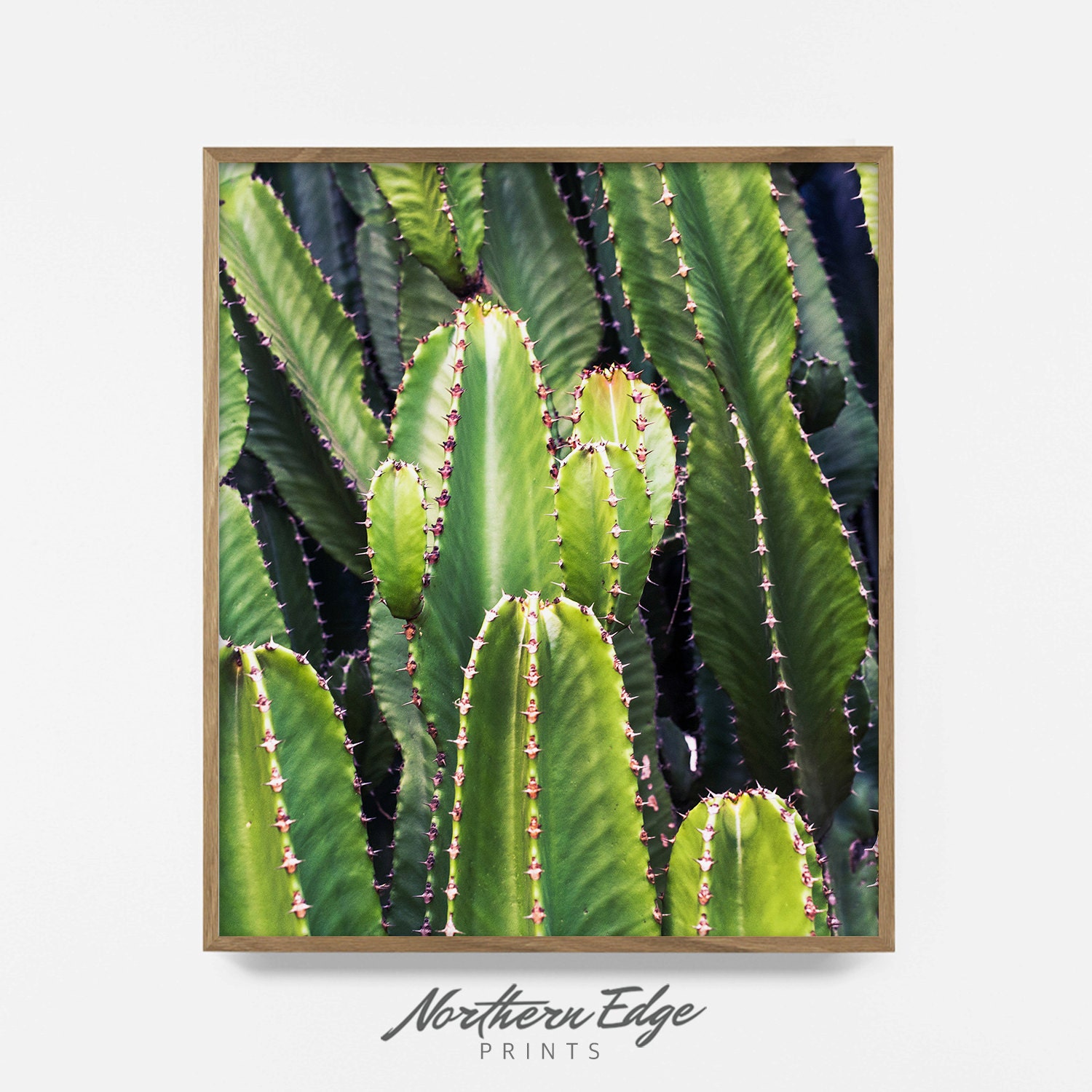 Cacti Print Printable Cactus Wall Art Arizona Wall Art Etsy