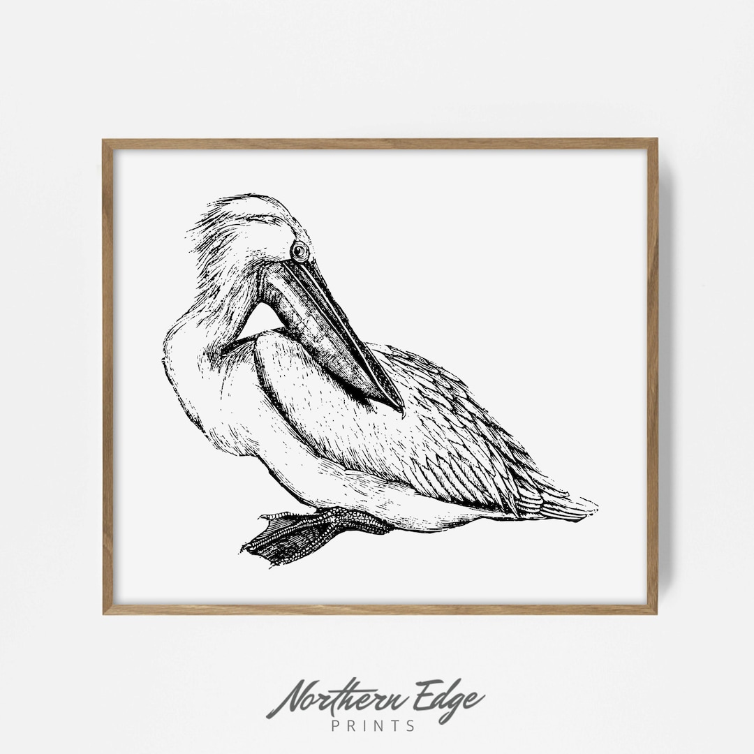 Pelican, Printable Poster, Summer Decor, Beach Art, Sea Shore, Ocean ...
