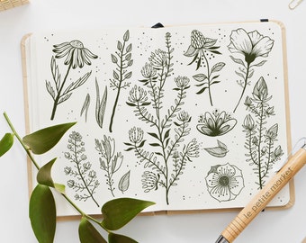 Hand Drawn Wildflower Clipart Set, Doodle Flower Illustrations (PNG Digital Download)