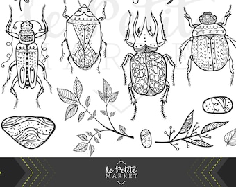Imágenes prediseñadas de escarabajos dibujados a mano, arte natural (descarga digital)