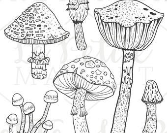 Hand Drawn Mushroom Clip Art, Hand Drawn Mushrooms, Mushroom Illustration Set, Vector Mushroom Illustrations, Black and White Mushrooms