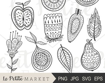 Hand Drawn Folk Fruit Clipart Illustrations (Digital Stamps)