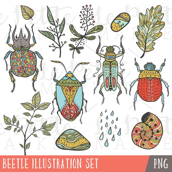 Beetle Clip Art Set, Hand Drawn Clip Art, Summer Outdoors Explore Clip Art, Insect Clip Art, Bug Clipart, Forest Jungle Clip art for Boys
