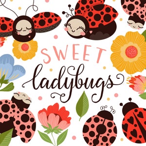 Coccinella ClipArt immagini, carino coccinella clipart illustrazioni digitali, floreale giardino clipart PNG fiori, coccinelle cuore, estate festa clipart