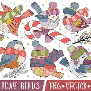 Winter vogels Clipart, vakantie vogel clipartafbeeldingen, schattige vogel illustraties, Winter Clipart vogels, commercieel gebruik, Bird Clip Art PNG