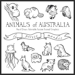 Cute Hand Illustrated Australian Animals Digital Clipart Graphics, Aussie Creatures Wombat Platypus Dingo Jellyfish Koala Echidna Kangaroo