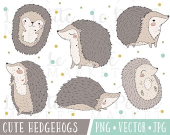 Cute Hedgehog Clipart Images, Kawaii Hedgehog Clip Art, Hedgehog Illustrations, Premium Vector Clipart, Commercial Use, Hedgehog PNG