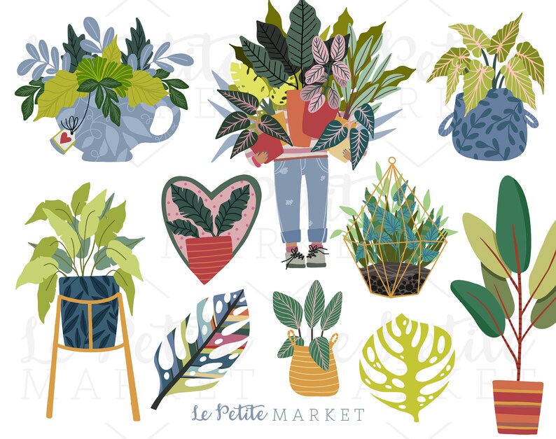 May include: A collection of potted plants in various styles and colors, including a heart-shaped pot with a pink and green design, a hanging planter with a geometric frame, and a large potted plant with a blue and white pot. The text "Le Petite MARKET" is at the bottom of the image.