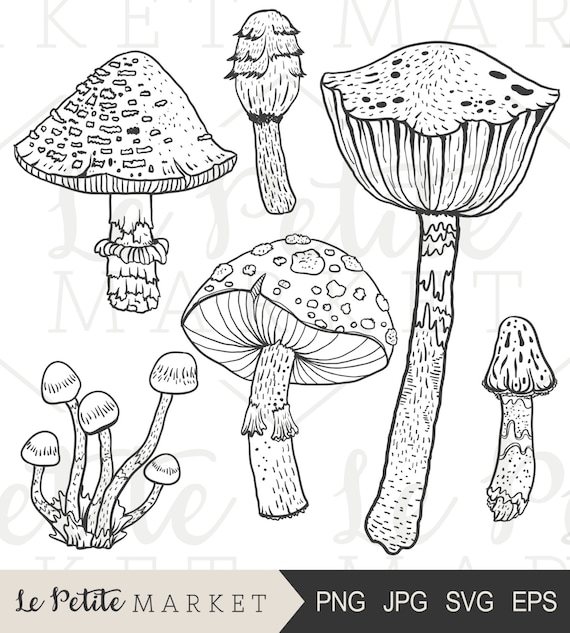 Hand Drawn Mushroom Clip Art, Black and White Illustration Set (png, jpg, svg, eps)
