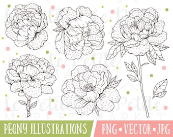 Flower Digital Stamps, Peony Illustrations, Hand Drawn Flower Clipart, Digistamps, Peony Clipart, Clip Art Flowers for Cardmaking