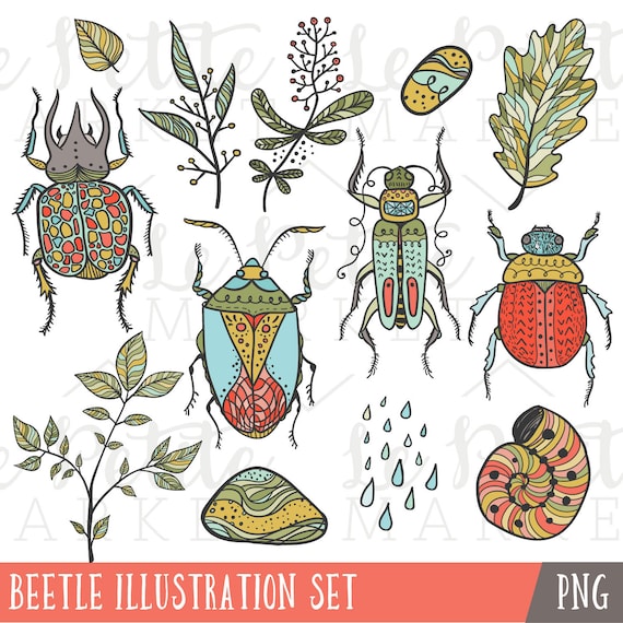 Beetles Clip Art Set Paper, Party & Kids Papercraft lifepharmafze.com