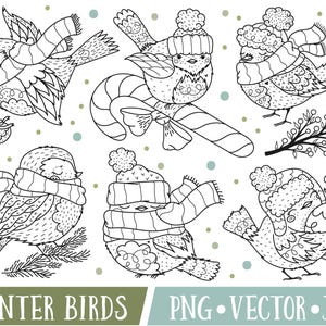 Winter Vögel Clipart, Urlaub Vogel Clipart Bilder, süße Vogel digitale Briefmarken, Winter Vogel digitale Briefmarken, kommerzielle Nutzung, Vogel ClipArt PNG