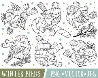 Winter Birds Clipart, Holiday Bird Clipart Images, Cute Bird Digital Stamps, Winter Bird Digital Stamps, Commercial Use, Bird Clip Art PNG