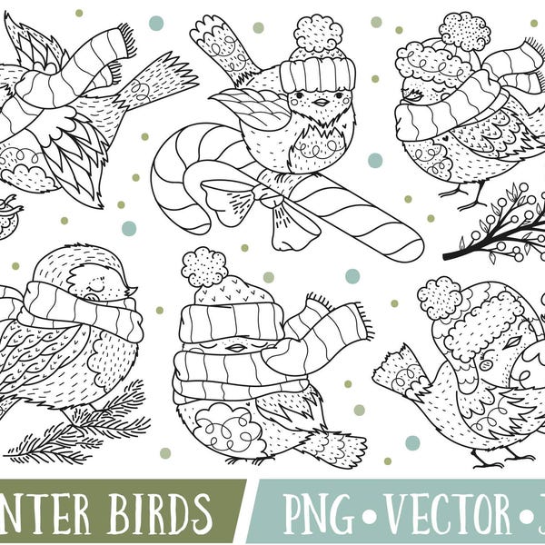 Winter Birds Clipart, Holiday Bird Clipart Images, Cute Bird Digital Stamps, Winter Bird Digital Stamps, Commercial Use, Bird Clip Art PNG