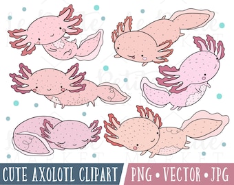 Cute Axolotl Clipart Images, Cute Axolotl Illustrations, Axolotl Clip Art, Cute Amphibian Salamander Clipart PNG, Hand Drawn Clipart