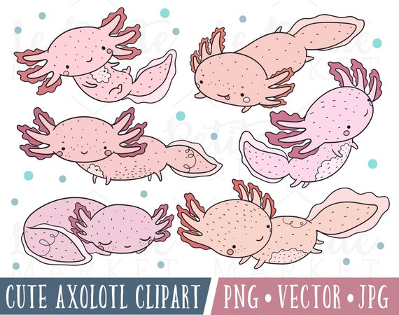 Cute Axolotl Clipart Images Cute Axolotl Illustrations Etsy