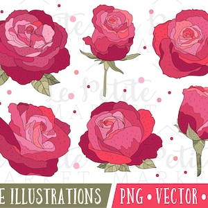 Hand Drawn Rose Clipart Images, Rose Digital Stamps, Flower Digital Stamps, Pretty Rose Line Clipart, Rose Illustration Set, Rose Vectors