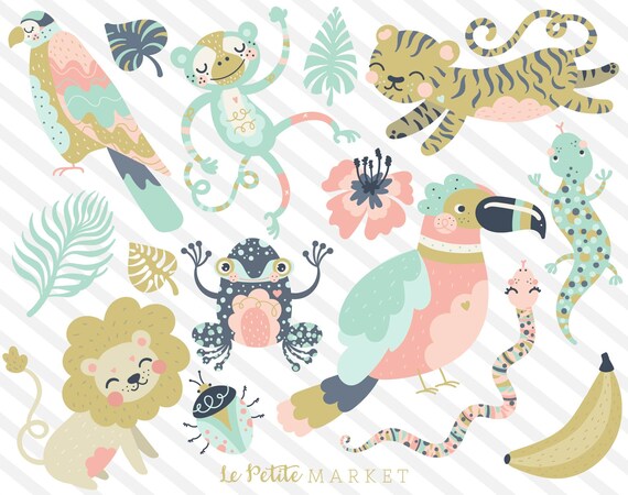 Tropical Jungle Animal Clipart Images, Instant Download, Rainforest Creatures Clip Art, Toucan Clipart, Dart Frog, Safari Animals, Tiger PNG